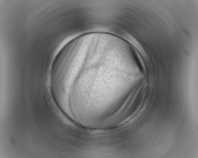 X0000113611436200910091532