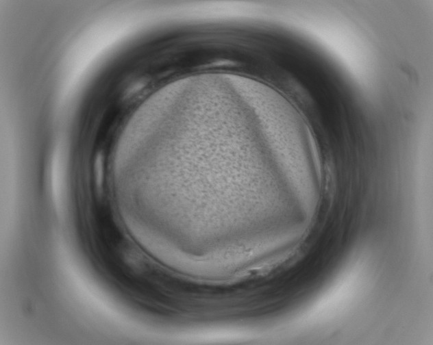 X0000113611439200910091532