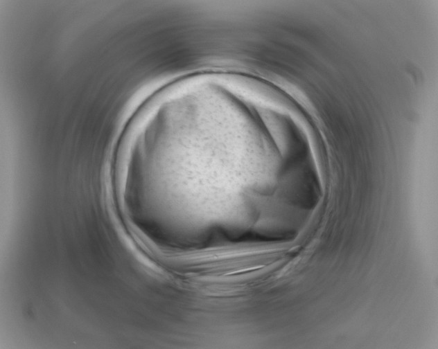 X0000113611440200910091532