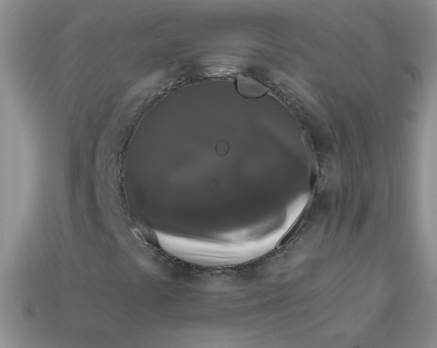 X0000113611441200910091532