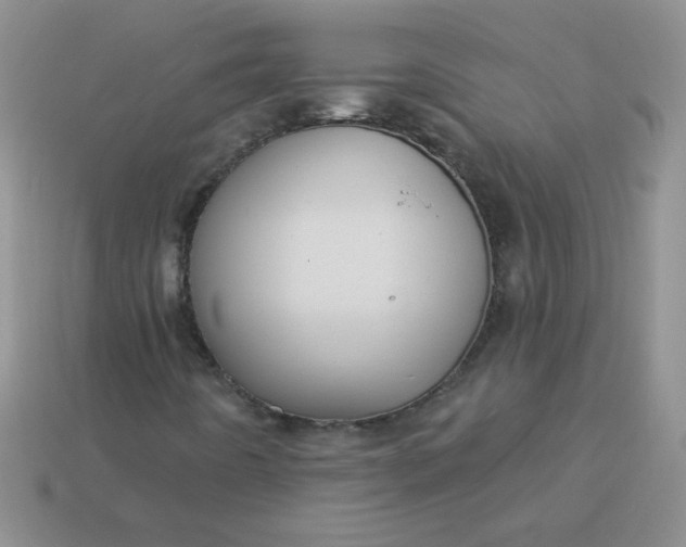 X0000113611442200910091532