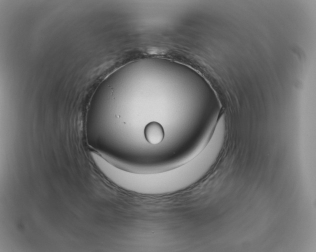 X0000113611443200910091532