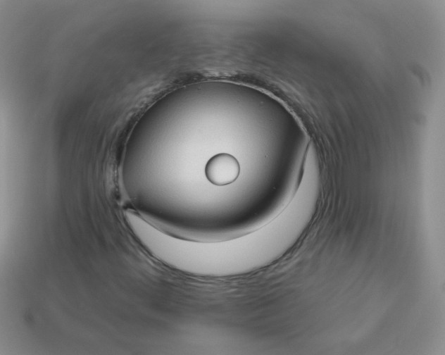 X0000113611444200910091531