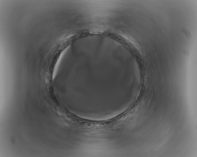 X0000113611445200910091531