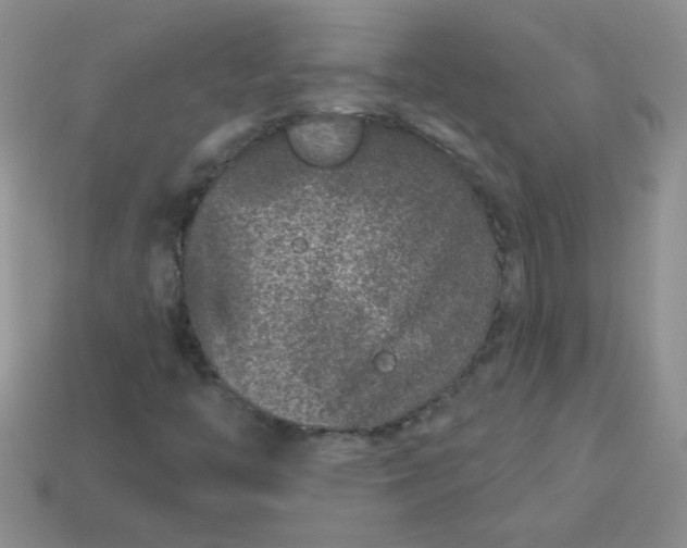 X0000113611446200910091531