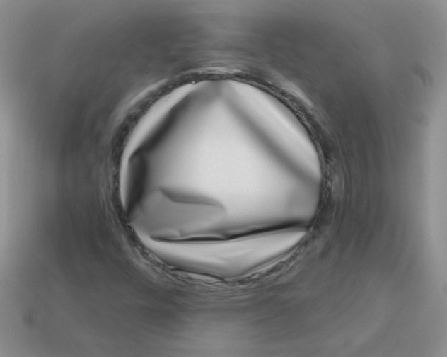 X0000113611448200910091531