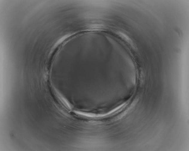 X0000113611449200910091531