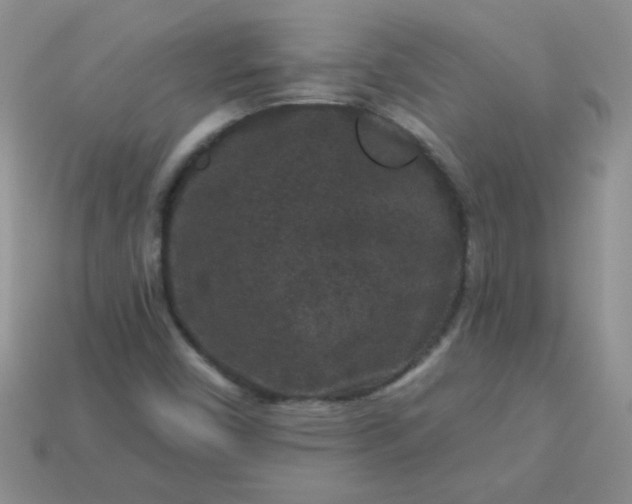 X0000113611450200910091531