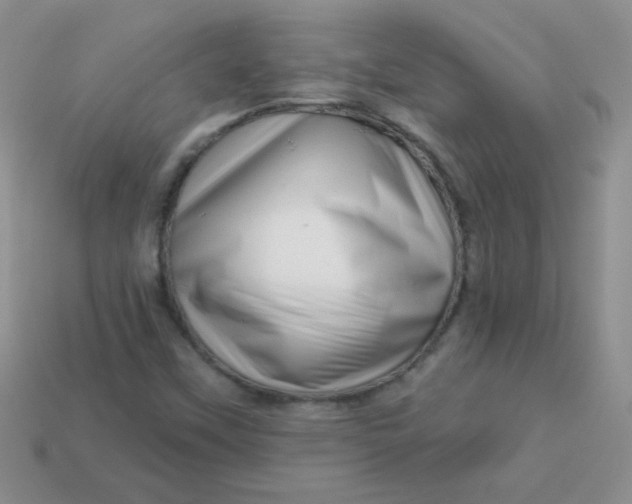 X0000113611451200910091531