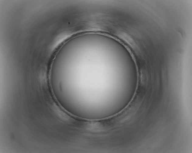 X0000113611452200910091531