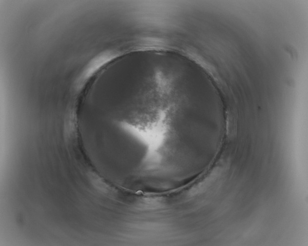 X0000113611453200910091531