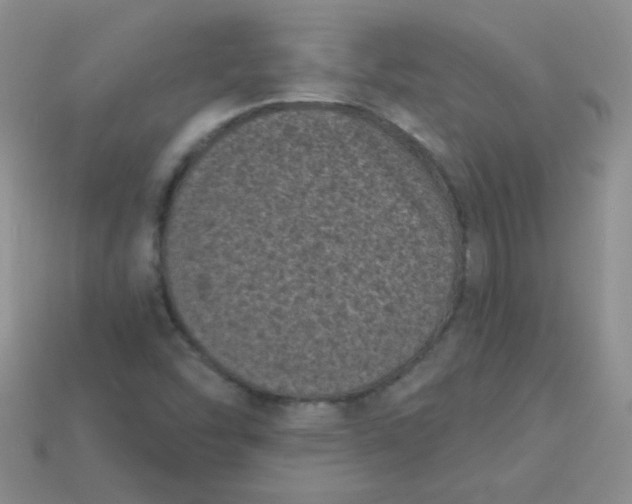 X0000113611454200910091531