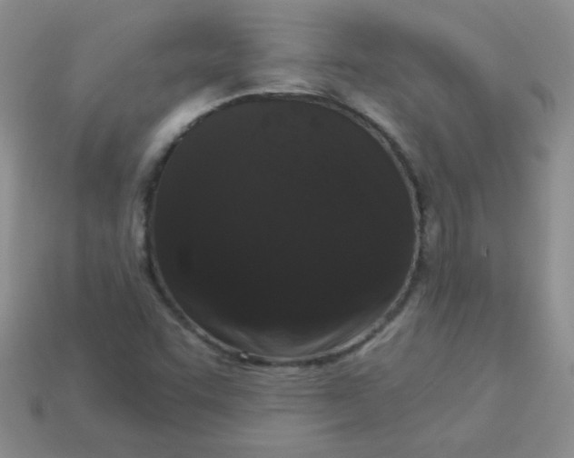 X0000113611455200910091531