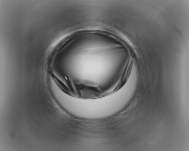 X0000113611456200910091531