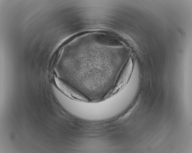 X0000113611457200910091531