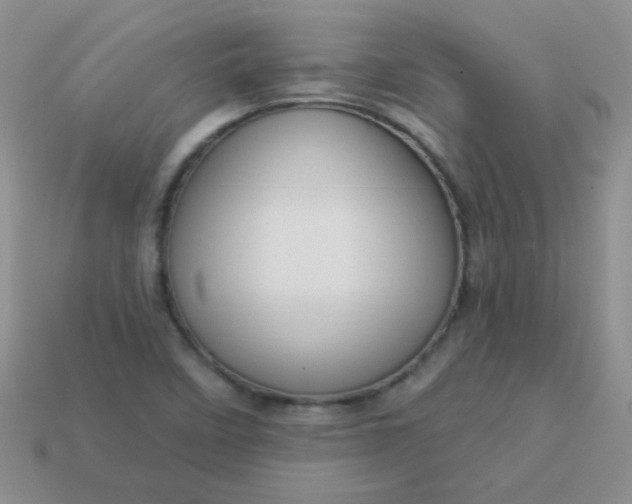 X0000113611458200910091531