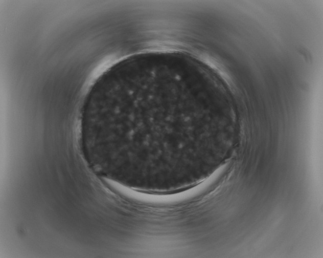 X0000113611459200910091531