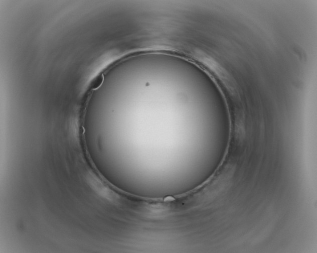 X0000113611460200910091531