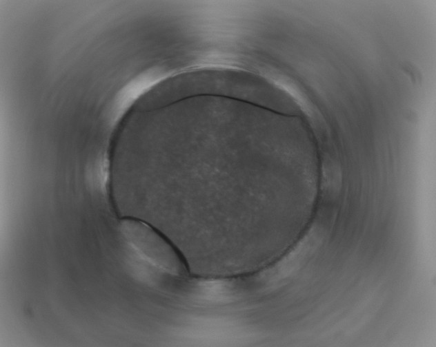 X0000113611461200910091531