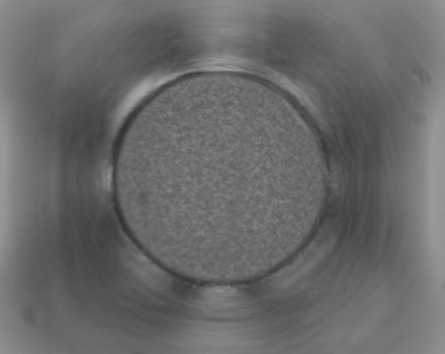 X0000113611462200910091531