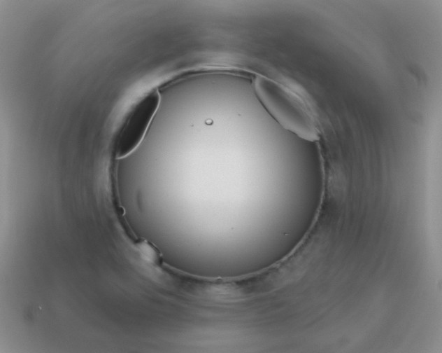 X0000113611464200910091531