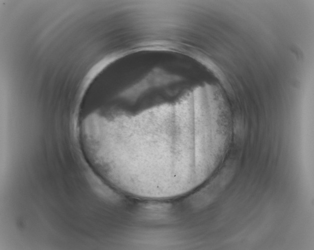 X0000113611466200910091531