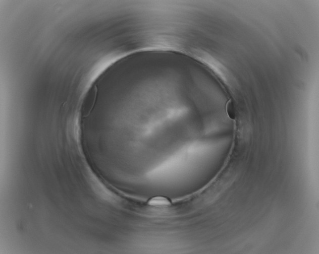 X0000113611468200910091531