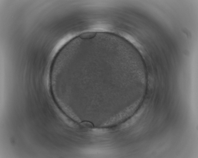 X0000113611469200910091531