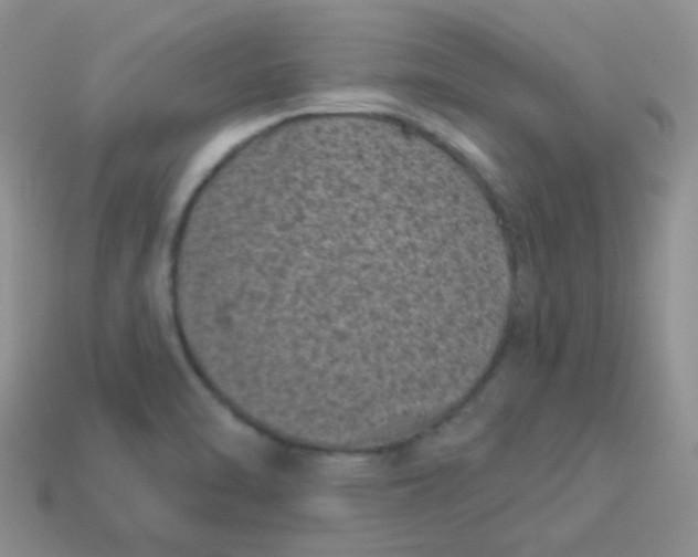 X0000113611470200910091531