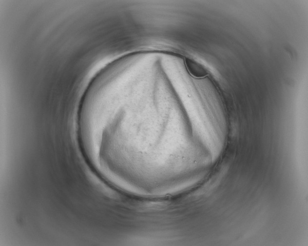 X0000113611471200910091531