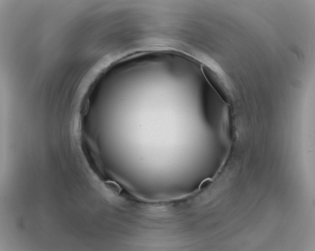 X0000113611472200910091531