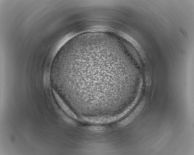 X0000113611473200910091531