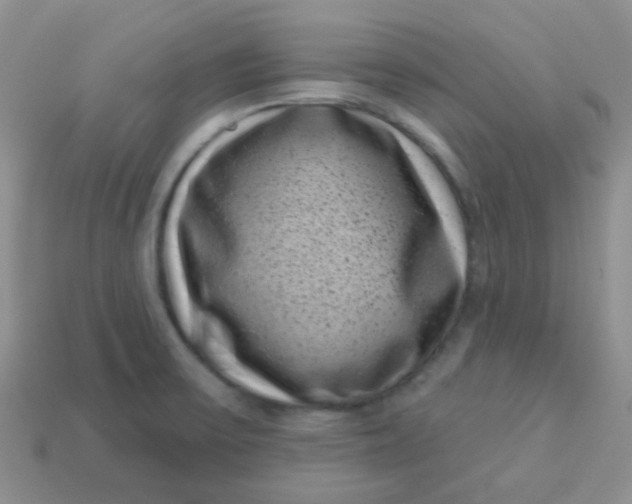 X0000113611475200910091531