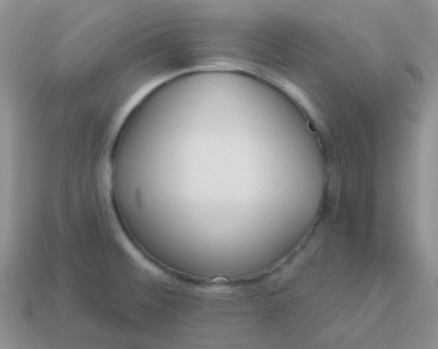 X0000113611476200910091531