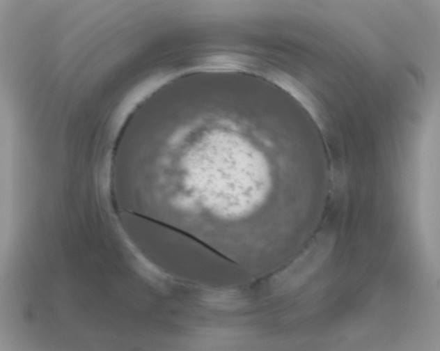 X0000113611477200910091531