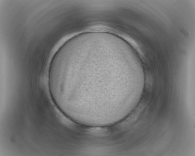 X0000113611478200910091531