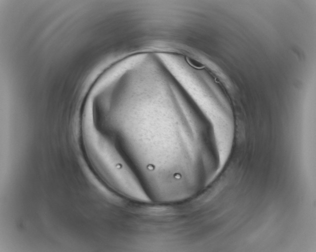 X0000113611479200910091531