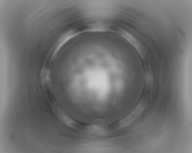 X0000113611481200910091531