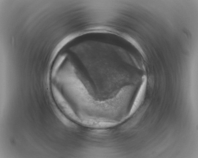 X0000113611482200910091531