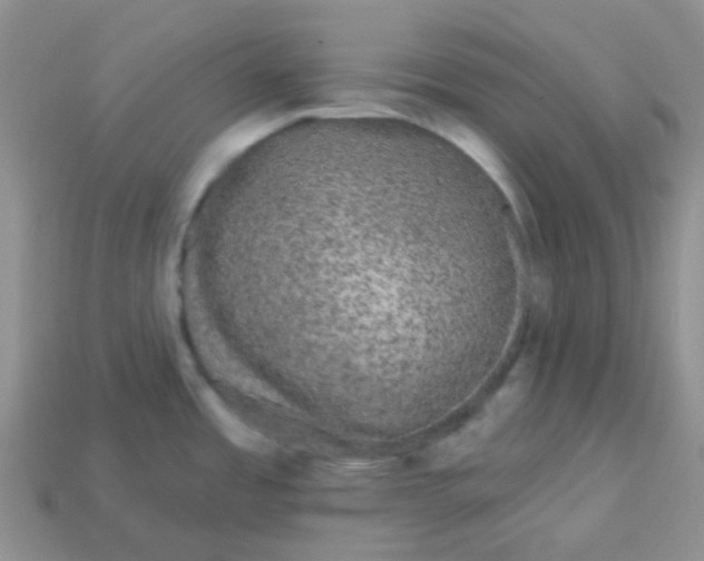 X0000113611485200910091531