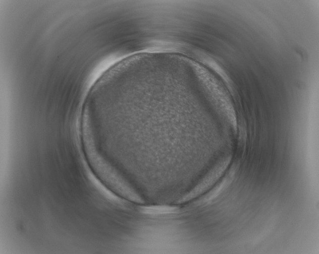 X0000113611487200910091531