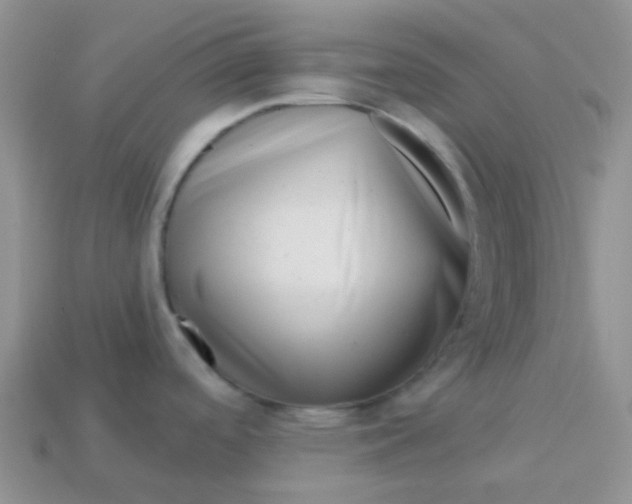 X0000113611488200910091531