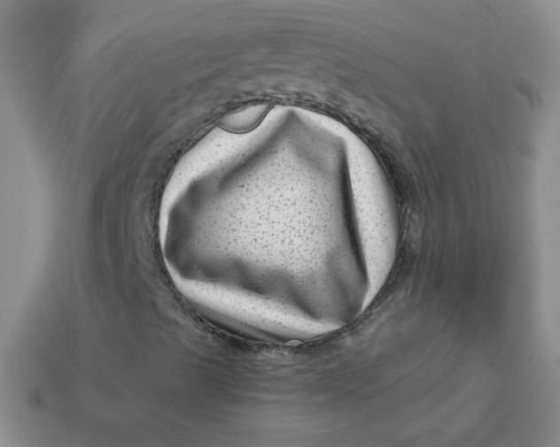 X0000113611489200910091530