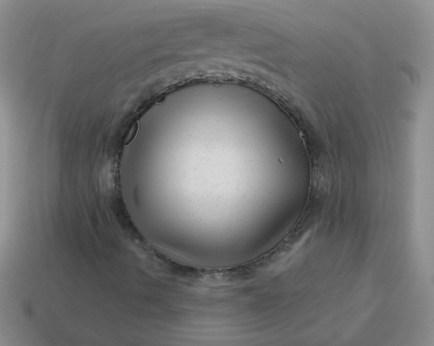 X0000113611490200910091530