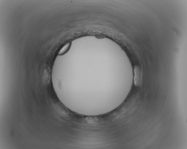 X0000113611491200910091530