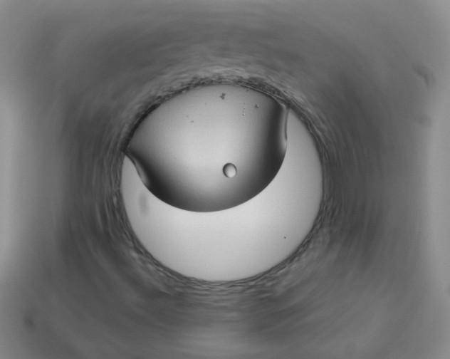 X0000113611492200910091530