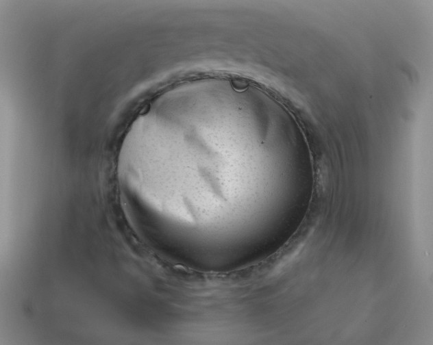 X0000113611494200910091530