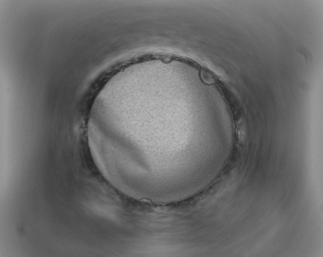 X0000113611495200910091530