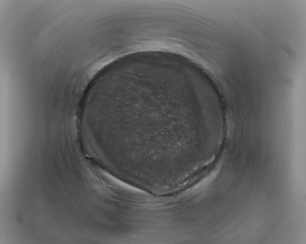 X0000113611497200910091530