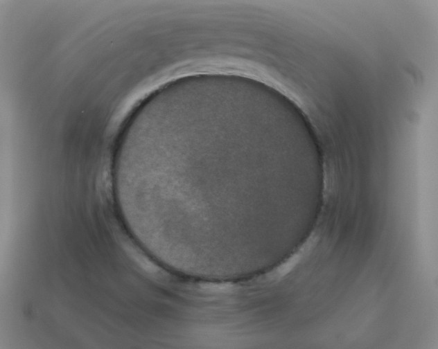 X0000113611498200910091530